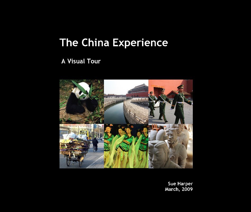 View The China Experience by Sue Harper March, 2009