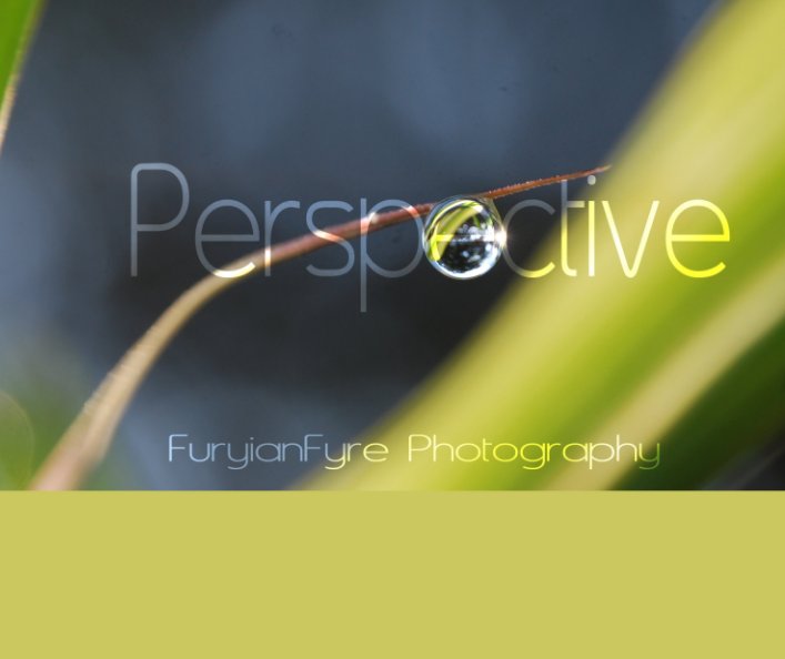 Visualizza Perspective di FuryianFyre Photography