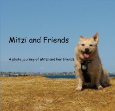 Mitzi and Friends book cover