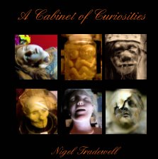 A Cabinet of Curiosities book cover