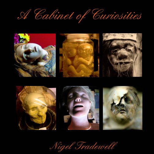 View A Cabinet of Curiosities by Nigel Tradewell
