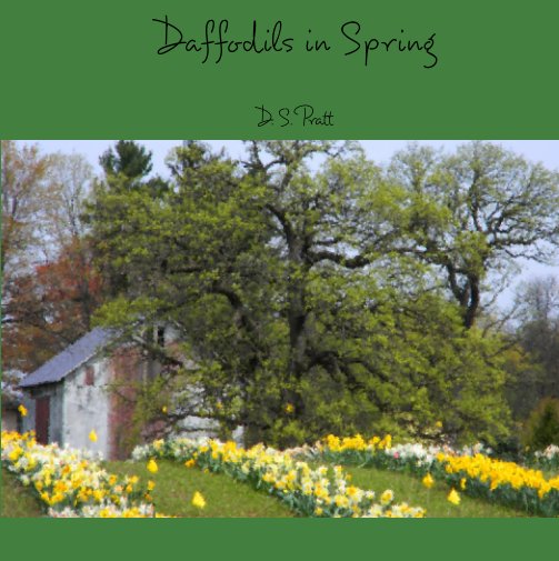 View Daffodils in Spring by D. S. Pratt