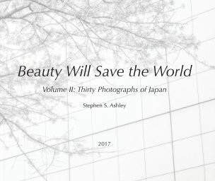 Beauty Will Save the World book cover
