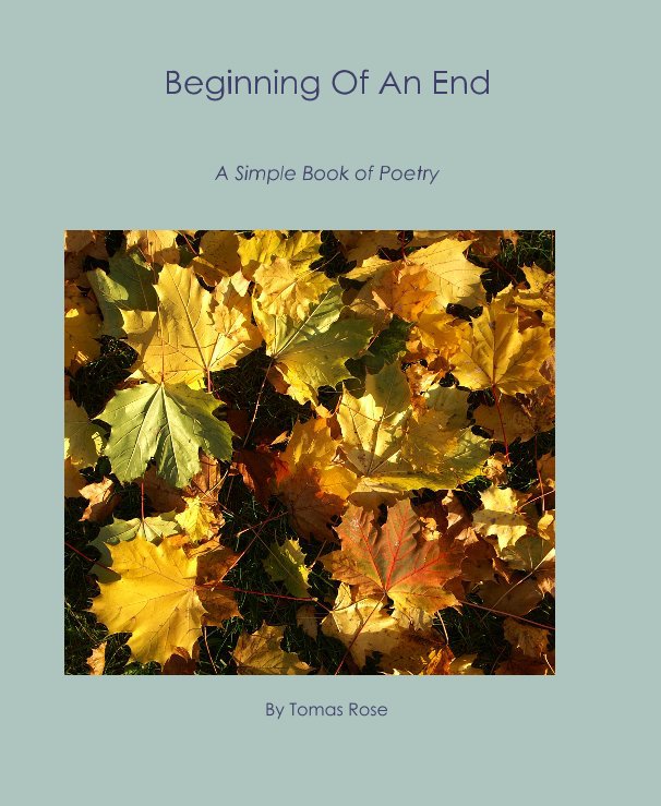 Ver Beginning Of An End por Tomas Rose