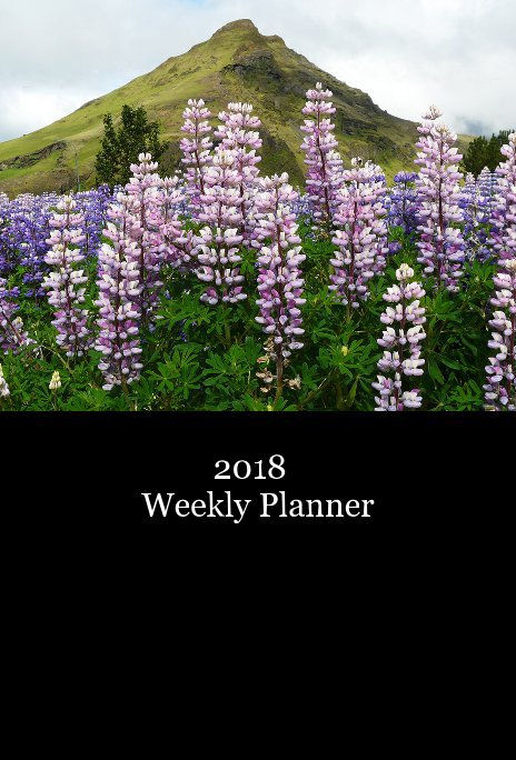 View 2018 Weekly Planner by Marnie Bonnett