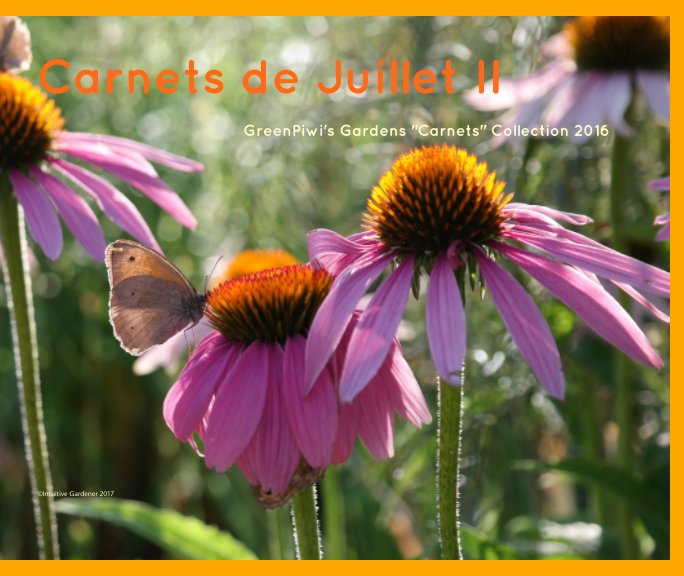 View Carnets de Juillet II by Intuitive Gardener