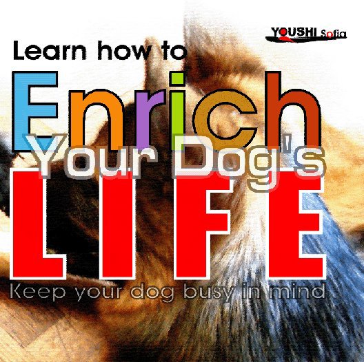View LEARN HOW TO ENRICH YOUR DOG'S LIFE by Sofia Youshi