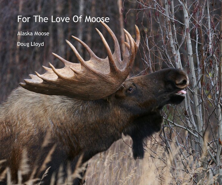 View For The Love Of Moose by Doug Lloyd