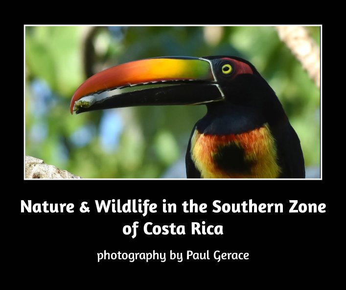View Nature & Wildlife in the Southern Zone of Costa Rica      photography by Paul Gerace by Paul Gerace