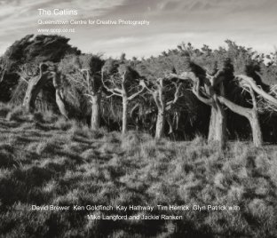 QCCP- The Catlins 2017 New Zealand book cover