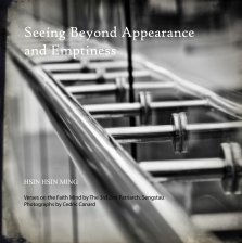 Seeing Beyond Appearance and Emptiness book cover