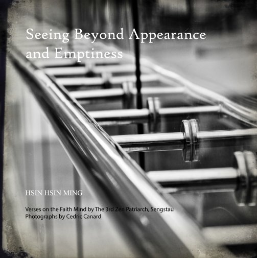 Ver Seeing Beyond Appearance and Emptiness por Cedric Canard