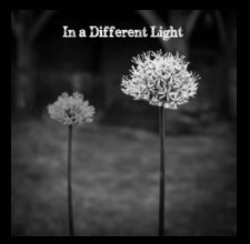 In a Different Light book cover