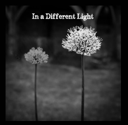 View In a Different Light by Jem Hayward