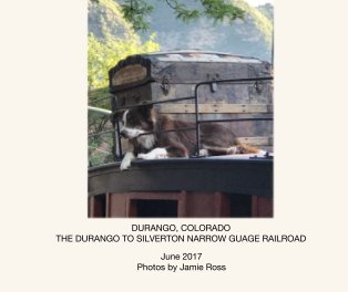 DURANGO, COLORADO book cover