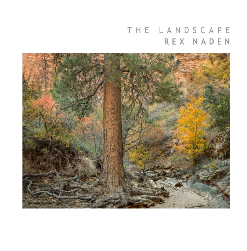 View The Landscape by Rex Naden