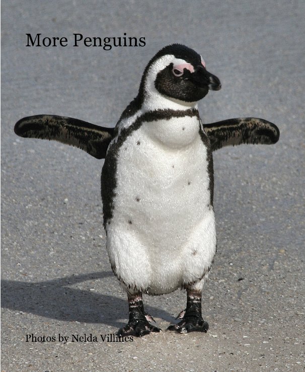 Visualizza More Penguins di Nelda Villines