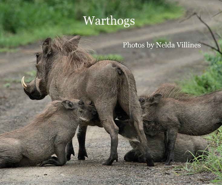 View Warthogs by Nelda Villines