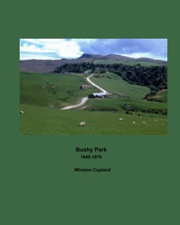 Bushy Park book cover
