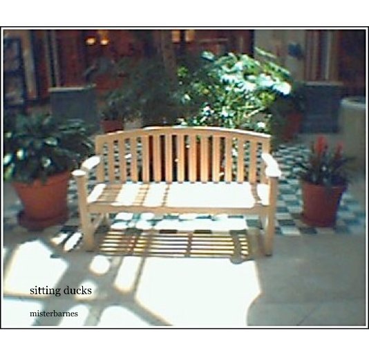 View sitting ducks by misterbarnes