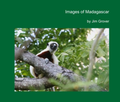 Images of Madagascar book cover