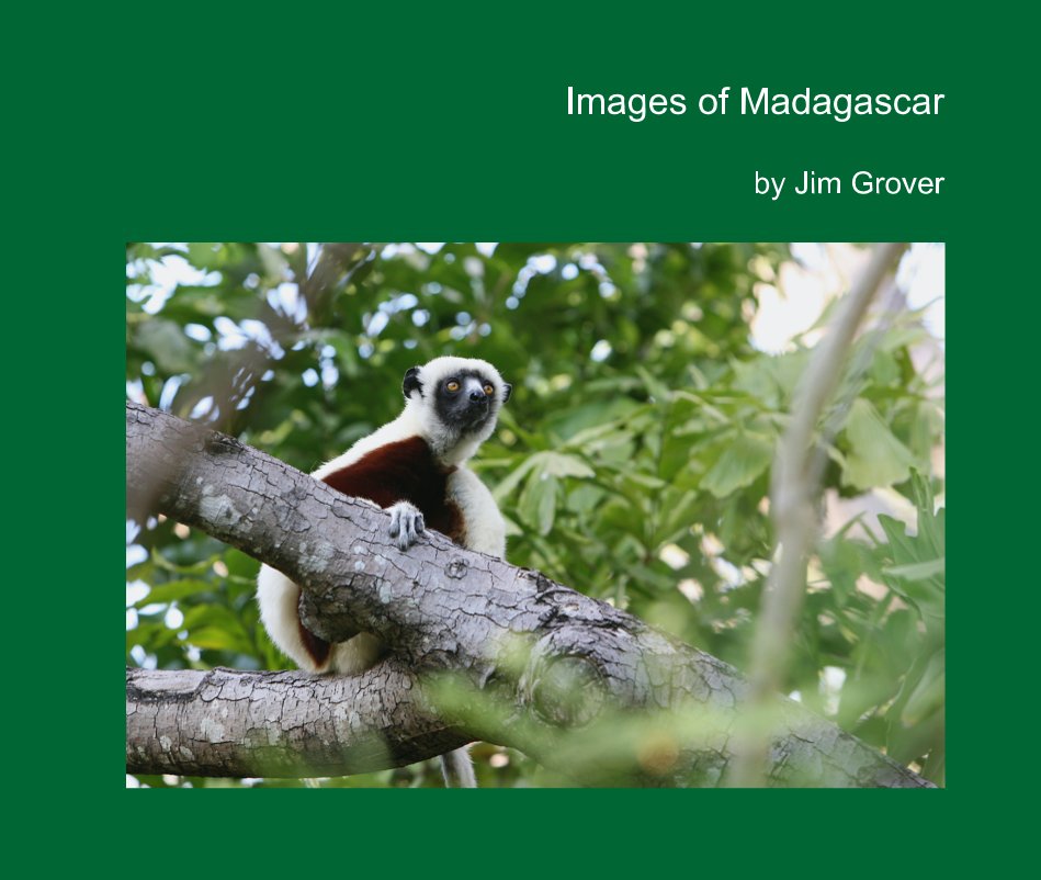 Ver Images of Madagascar por Jim Grover