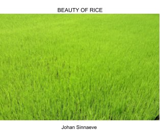 Beauty of Rice book cover