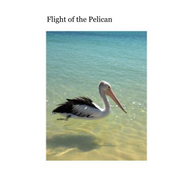 Flight of the Pelican book cover