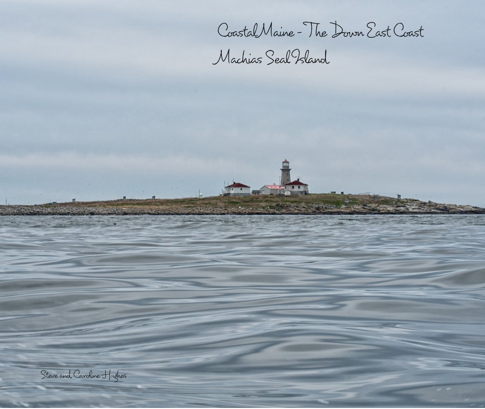Visualizza Coastal Maine - The Down East Coast Machias Seal Island di Steve and Caroline Hughes