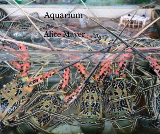 Aquarium book cover