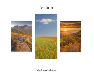 Vision book cover