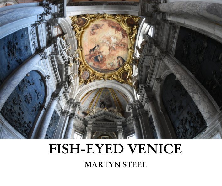 View FISH-EYED VENICE by MARTYN STEEL