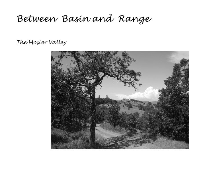 View Between Basin and Range by Samuel Seskin