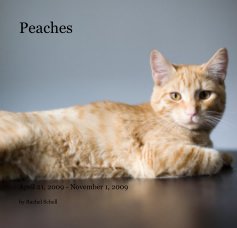 Peaches book cover