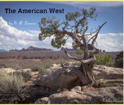 The American West book cover