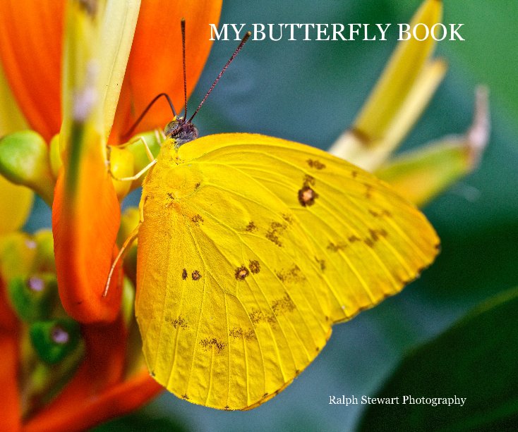 View MY BUTTERFLY BOOK by Ralph Stewart Photography