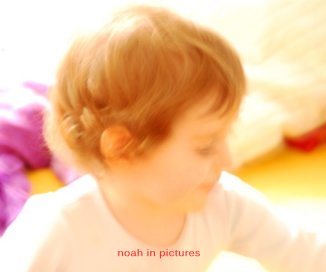 noah in pictures book cover
