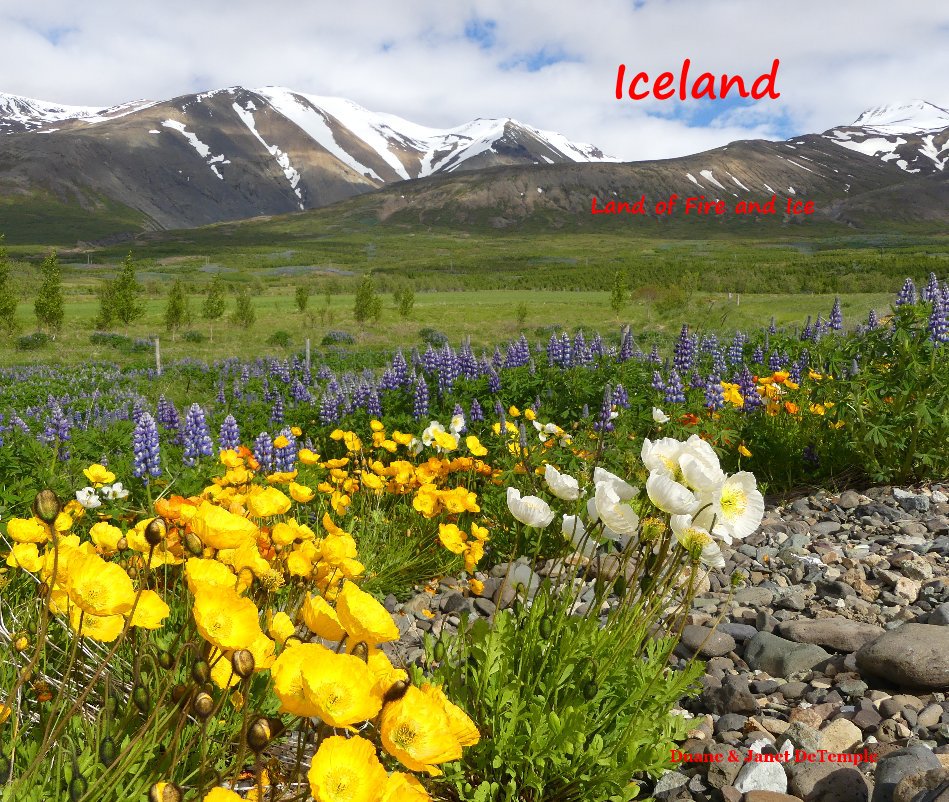 Bekijk Iceland op Duane & Janet DeTemple