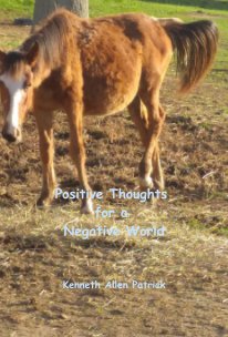 Positive Thoughts for a Negative World book cover