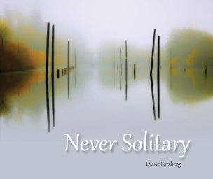 Never Solitary book cover