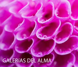 Galerias del Alma book cover