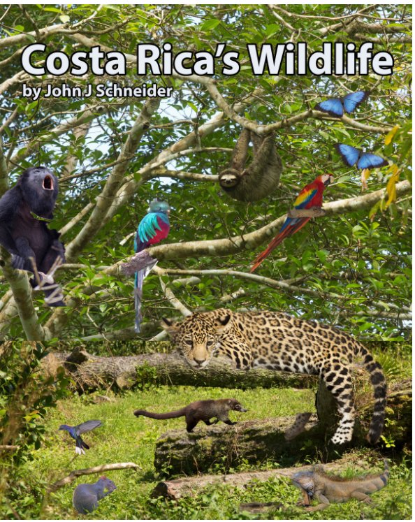 Ver Costa Rica's Wildlife por John J Schneider