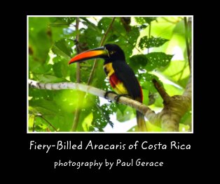 Fiery-Billed Aracaris of Costa Rica        photography by Paul Gerace book cover