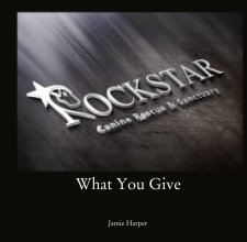 What You Give book cover