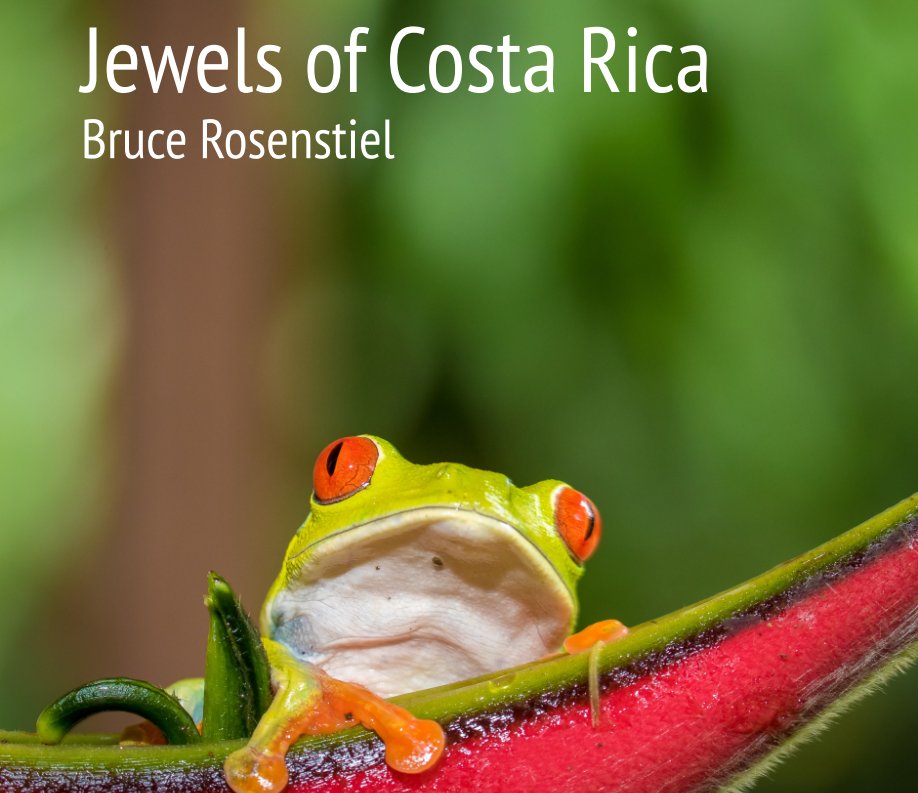 View Jewels of Costa Rica by Bruce Rosenstiel