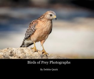 Birds of Prey Photographs