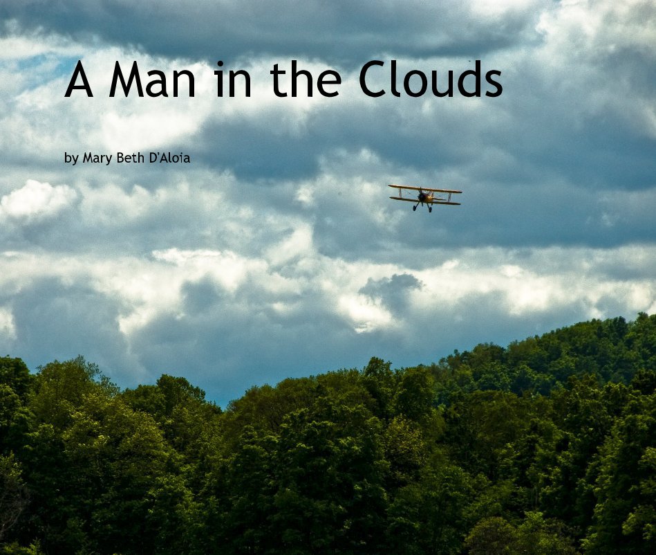 View A Man in the Clouds by Mary Beth D'Aloia