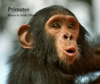 Primates book cover