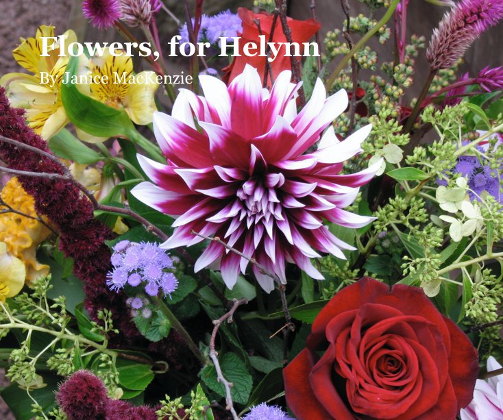 View Flowers, for Helynn by acujanny