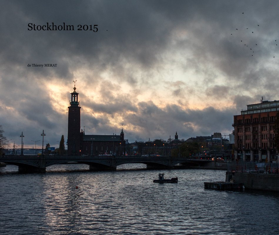 View Stockholm 2015 by de Thierry MERAT